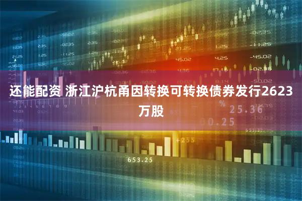 还能配资 浙江沪杭甬因转换可转换债券发行2623万股